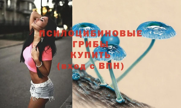 a pvp Абдулино