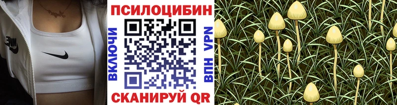 Псилоцибиновые грибы Psilocybe Янаул